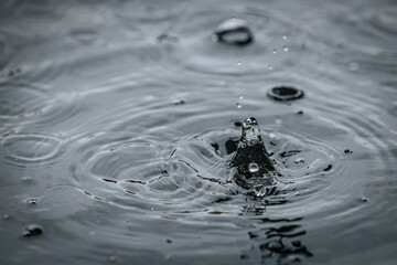 A water droplet creates a splash and a crown-like spike on a calm dark surface, captured in a...