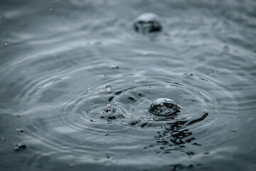 A water droplet creates a splash and a crown-like spike on a calm dark surface, captured in a...