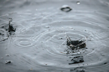 A water droplet creates a splash and a crown-like spike on a calm dark surface, captured in a...