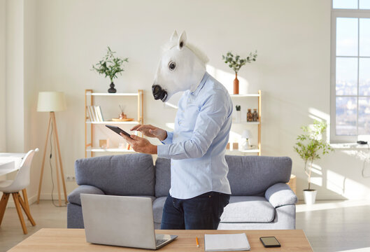 Businessman with horse mask focuses on working in home office, using tablet pc for inspection and audit, managing business and finance tasks in a professional yet playful environment.