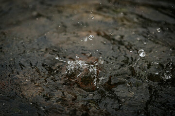A close-up shot captures water droplets splashing and rippling on a dark surface, showing motion and texture in a natural setting.