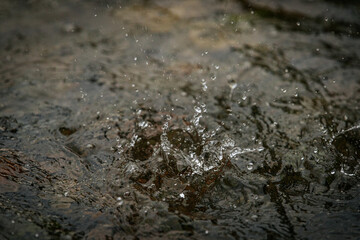 A close-up shot captures water droplets splashing and rippling on a dark surface, showing motion and texture in a natural setting.