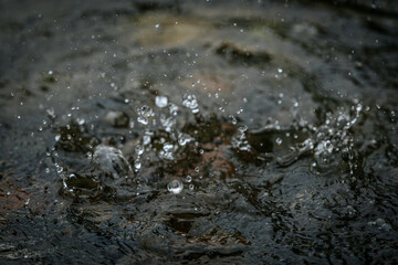 A close-up shot captures water droplets splashing and rippling on a dark surface, showing motion and texture in a natural setting.