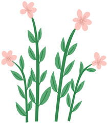 pink flower vector