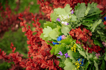 Colorful flower crown made of oak leaves and wildflowers resting on deep red foliage, creating a...