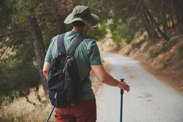 Traveler Exploring a Serene Forest Trail With Backpack and Walking Sticks