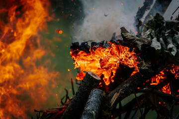 Close-up of burning logs and dry leaves with vivid flames and smoke rising, capturing the intense...