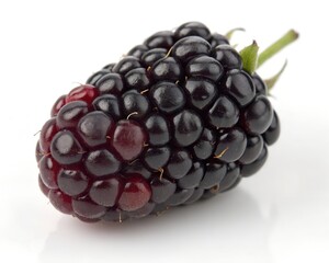 Single ripe marionberry fruit isolated on white background