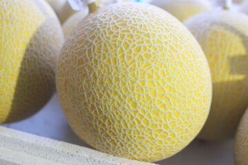 yellow melon on a plate