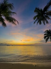 A breathtaking tropical sunset unfolds over the calm, reflective ocean, painting the sky with vibrant hues of orange, pink, and purple. Silhouetted palm fronds frame the scene from the upper corners