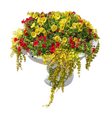 Flowerpot with flowers photo