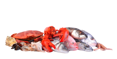 Fresh seafood isolated on white background