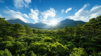 Obraz premium A stunning landscape featuring sun rays piercing through fluffy clouds over a vibrant green forest, framed by imposing mountain silhouettes in a captivating natural setting.