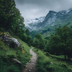 Beautiful natural fresh green spring nature with mountain views and lush surroundings. A rainy moody hiking outdoor adventure day. .