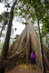 
This giant tree is 300 years old and is located in Ban Sanam, Ban Rai, Utah Thani District. It is a large tree that stands out with its large buttresses and is home to many bees.