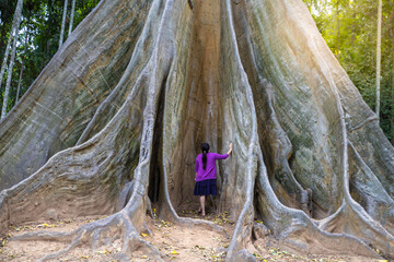 
This giant tree is 300 years old and is located in Ban Sanam, Ban Rai, Utah Thani District. It is a large tree that stands out with its large buttresses and is home to many bees.