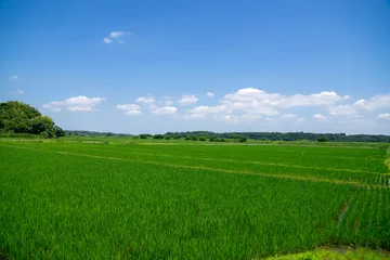 Photo sur Plexiglas 田園風景
