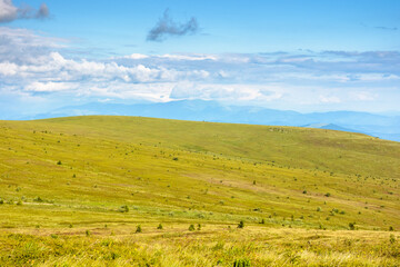 mountain landscape with green grass in summer. alpine meadow under blue sky with clouds. beautiful nature scenery with distant ridge. vast land