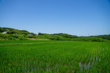 田園風景