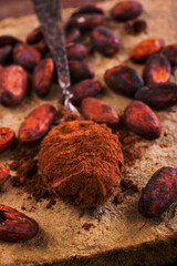 Chocolate beans that have been dried in the sun and are ready to be produced