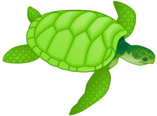 Green Sea Turtle Vector Design - green-sea-turtle-clipart.svg