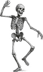 Dancing Skeleton: A whimsical depiction of a skeleton in a lively pose, dancing with an animated expression.