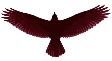 Isolated Silhouette of an Eagle