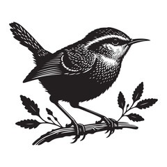 vector illustration of a bird