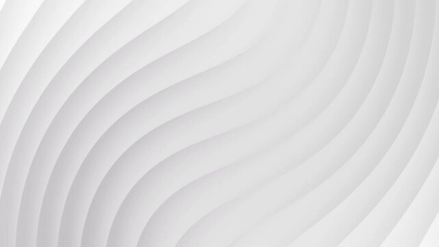 White color trendy line background animated. geometric background.