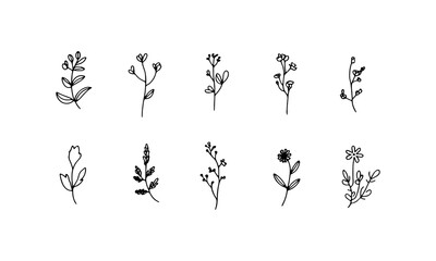 Minimal Line Flower. Minimal flower illustration with clean linework and thin contours forming petals and stems.