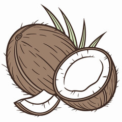 Illustration of Whole Half and Slice of Coconut with Green Leaves