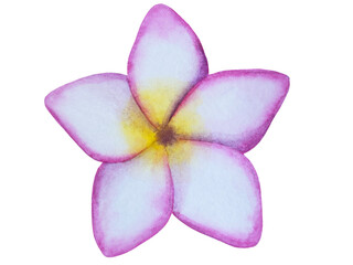 Watercolor hand drawn summer beach set with coastal resort items, such as palm tree, beach umbrella, coctails, seashells, sunglasses, hat, and flowers. Elements for design cards, packaging, website.
