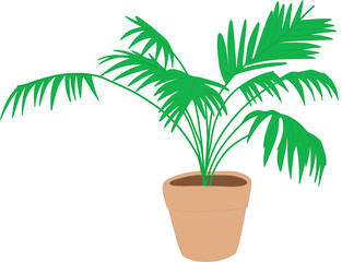 Fototapeta premium plant_003