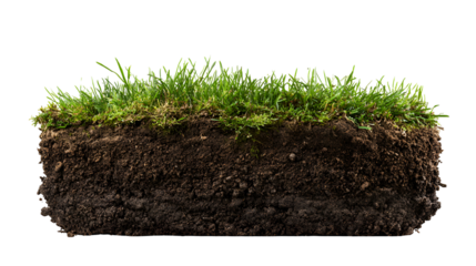 Lush green grass and rich dark soil cross section nature background