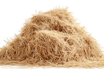 A large pile of golden hay isolated on black background