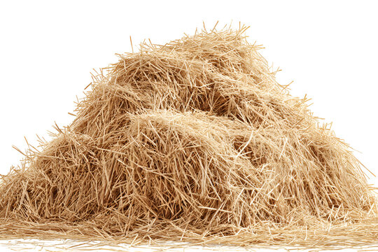 A large pile of golden hay isolated on black background