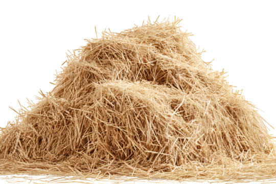 A large pile of golden hay isolated on black background