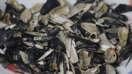 A close up of sunflower seeds peels