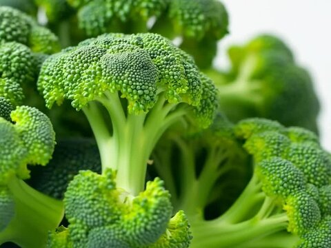 broccoli close up on a plate