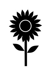 vector illustration of sunflower on white background