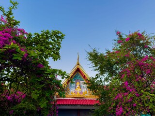 The intricately decorated golden and red roof of a traditional Thai temple is majestically framed by vibrant pink bougainvillea flowers and lush green foliage on either side. A serene image of Buddha