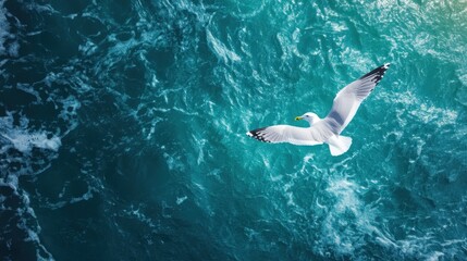 Obraz premium A stunning aerial view captures a seagull soaring gracefully above the deep turquoise ocean waves, symbolizing freedom and the beauty of nature's wildlife.