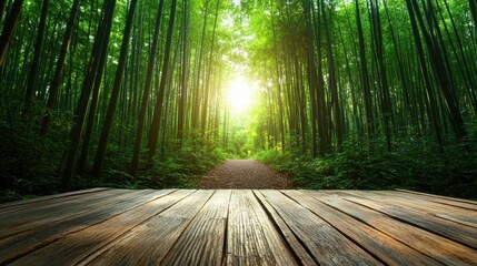 Fototapeta premium A tranquil scene of sunlight filtering through a tall bamboo forest, revealing an inviting pathway that beckons you to explore the serenity of nature's beauty.