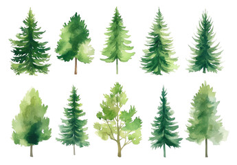 Obraz premium Watercolor-style illustration of various evergreen trees