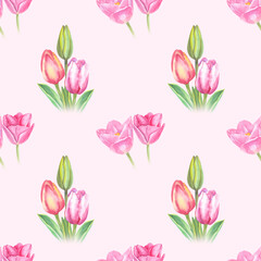  Charming watercolor tulip pattern on a soft pink background. Features a variety of pink tulip arrangements in full bloom and bud form. Perfect for feminine and spring-themed projects.