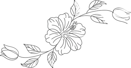 Hand drawn floral vector illustration with vintage sketch flowers and leaves