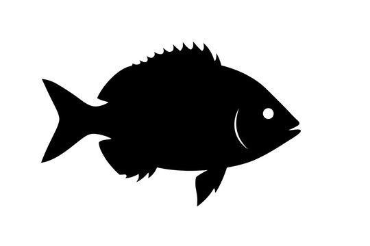 Bold Black Pinfish Silhouette with Distinct Spiny Dorsal Fin on White Background