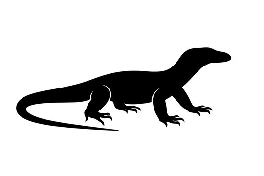 Silhouette of a Lace Monitor Lizard in Black on White Background