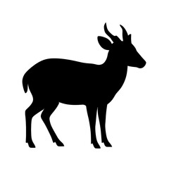 Fototapeta premium Silhouette of a Muntjac Deer with Horns in Minimalist Black and White