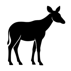 Fototapeta premium Silhouette of an Okapi with Distinct Ears and Tail